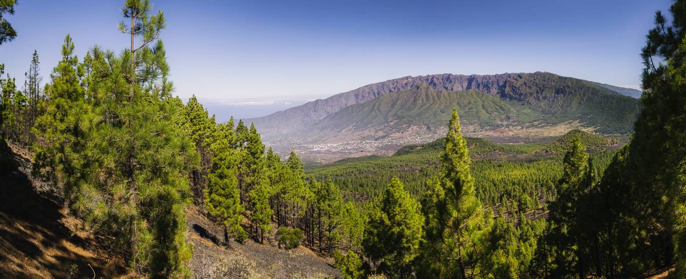 Photo - Îles Canaries - Iles Canaries #10